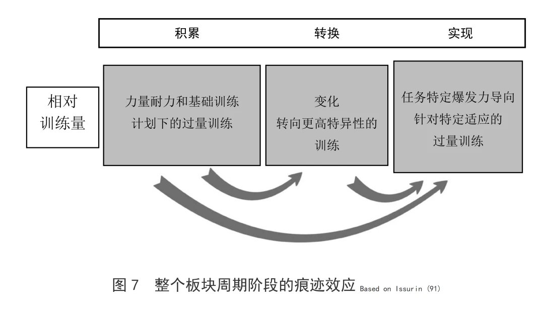 如何制定适合篮球主力的个性化训练方案_1